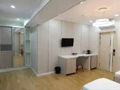 Art Regency Premium Free Airport Service - 8