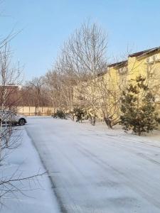 Bestau - 10