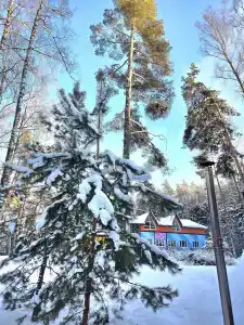 Вейкпарк Волма - 215