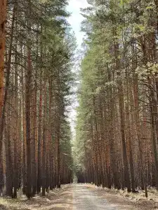 Восток - 1