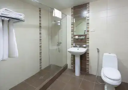 Ani Central Inn - 57