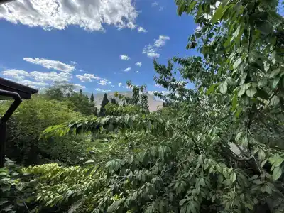Николь - 15
