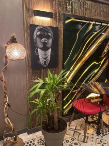 Waltons Galata - 49