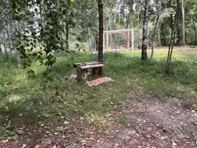 Звездный лес - 136