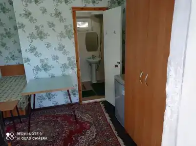Подсолнухи - 24