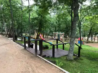 Кантри - 31