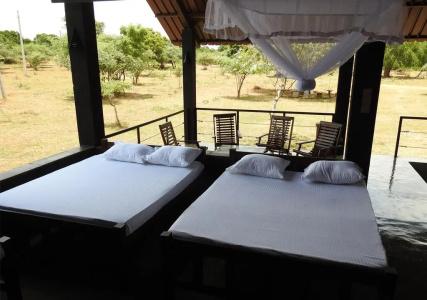 THE ELEPHANT PASS - YALA - 8