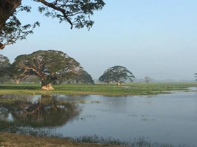 THE ELEPHANT PASS - YALA - 0