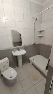 Сова - 4
