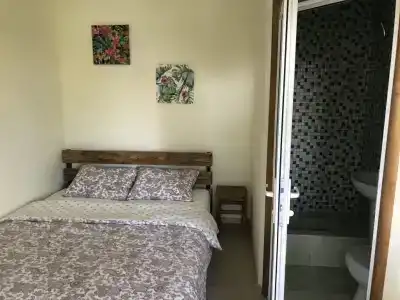 Ghouse - 1