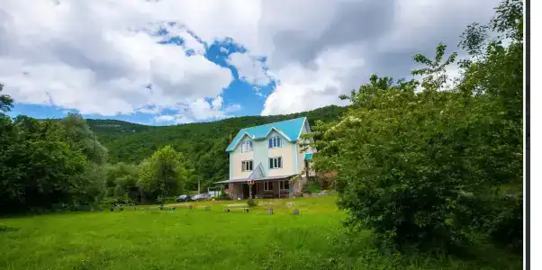 Лесная Поляна - 0