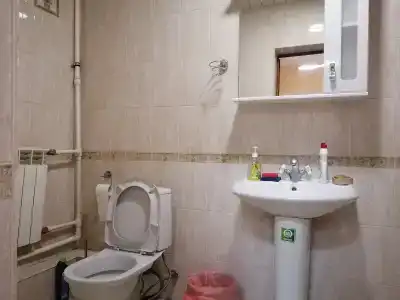 Гостевой дом в Хотьково - 16