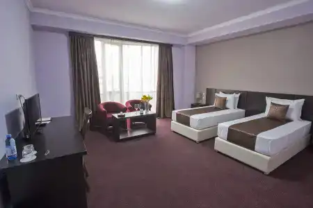 Ani Central Inn - 45