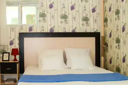 У Аллы и Левы - 33