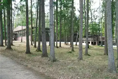 Воробьи - 4