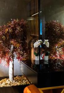 La Suite Boutique - 23