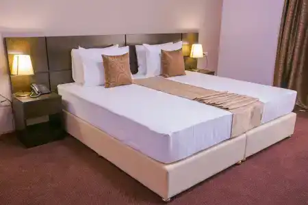 Ani Central Inn - 7