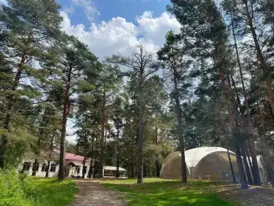 СПА-отель Алсма - 35