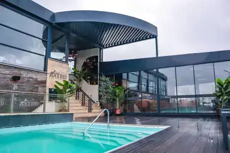 Black Bird Thermal & Spa - 9
