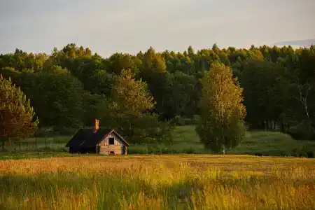 Мордасово - 13
