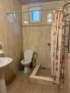 Виолетта - 36