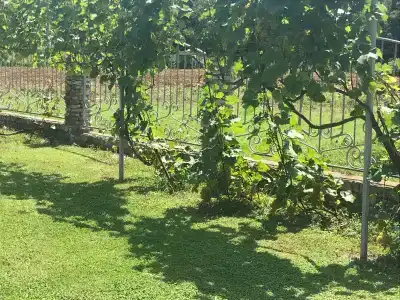 Villa Apsua - 32