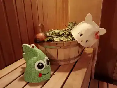 Дом-баня - 1