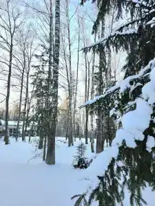 Вейкпарк Волма - 219