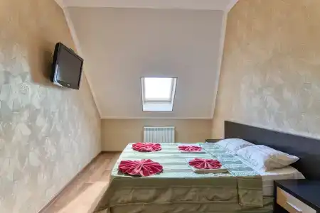 Аист - 101