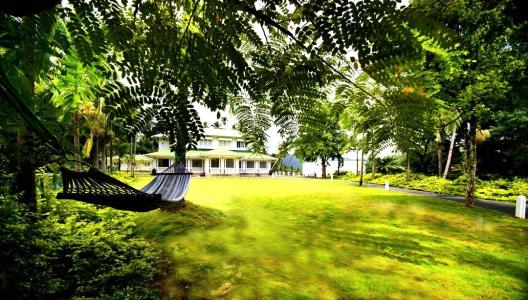 The Flame Tree Estate & - 2