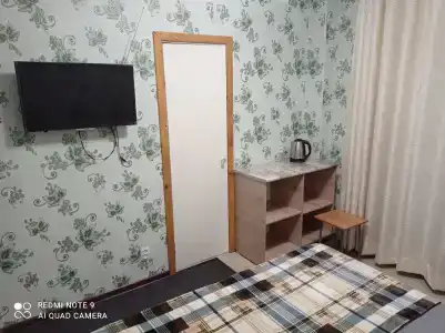 Подсолнухи - 18