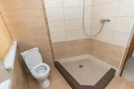 Юг Альянс - 46