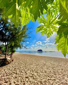 Sunny Palms Beach Bungalows - 21