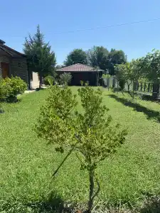 Villa Apsua - 75