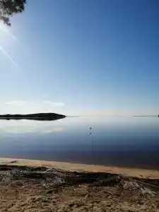 Лось - 35