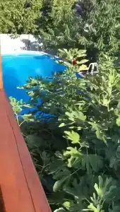 Takmak House - 49