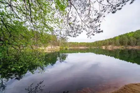Радужный лес - 24