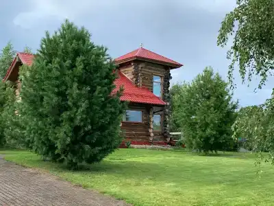 Лось - 9