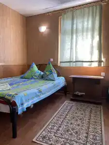 Светлана - 31