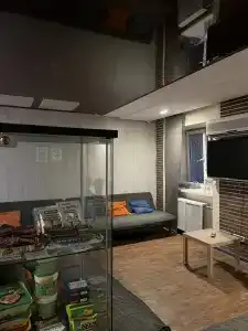 Арена - 12