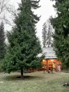 Усадьба Дубровка - 32