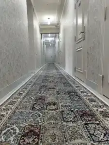 Mercuri Meridian - 45