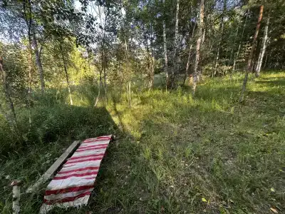 Звездный лес - 101