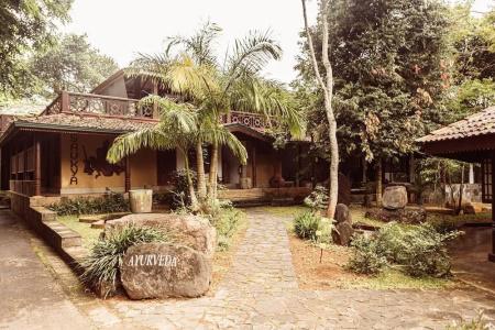 Tree of Life Nature Resort - 7