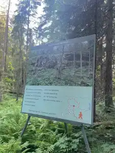Дача Долос - 17
