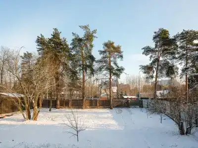 Шерл - 3
