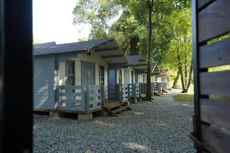 Forest house - 5
