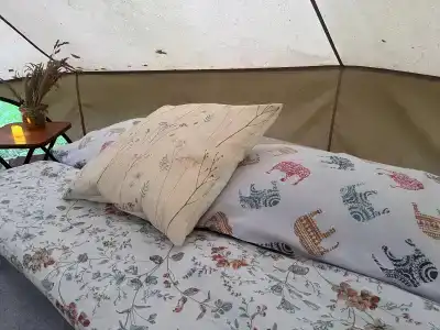 Звездный лес - 67
