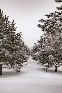 Коттедж двухэтажный № 1 - 8