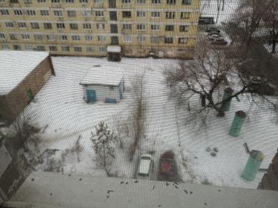 Калининградская - 23